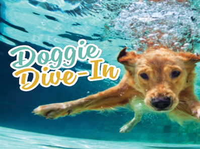 Doggie Dive-In