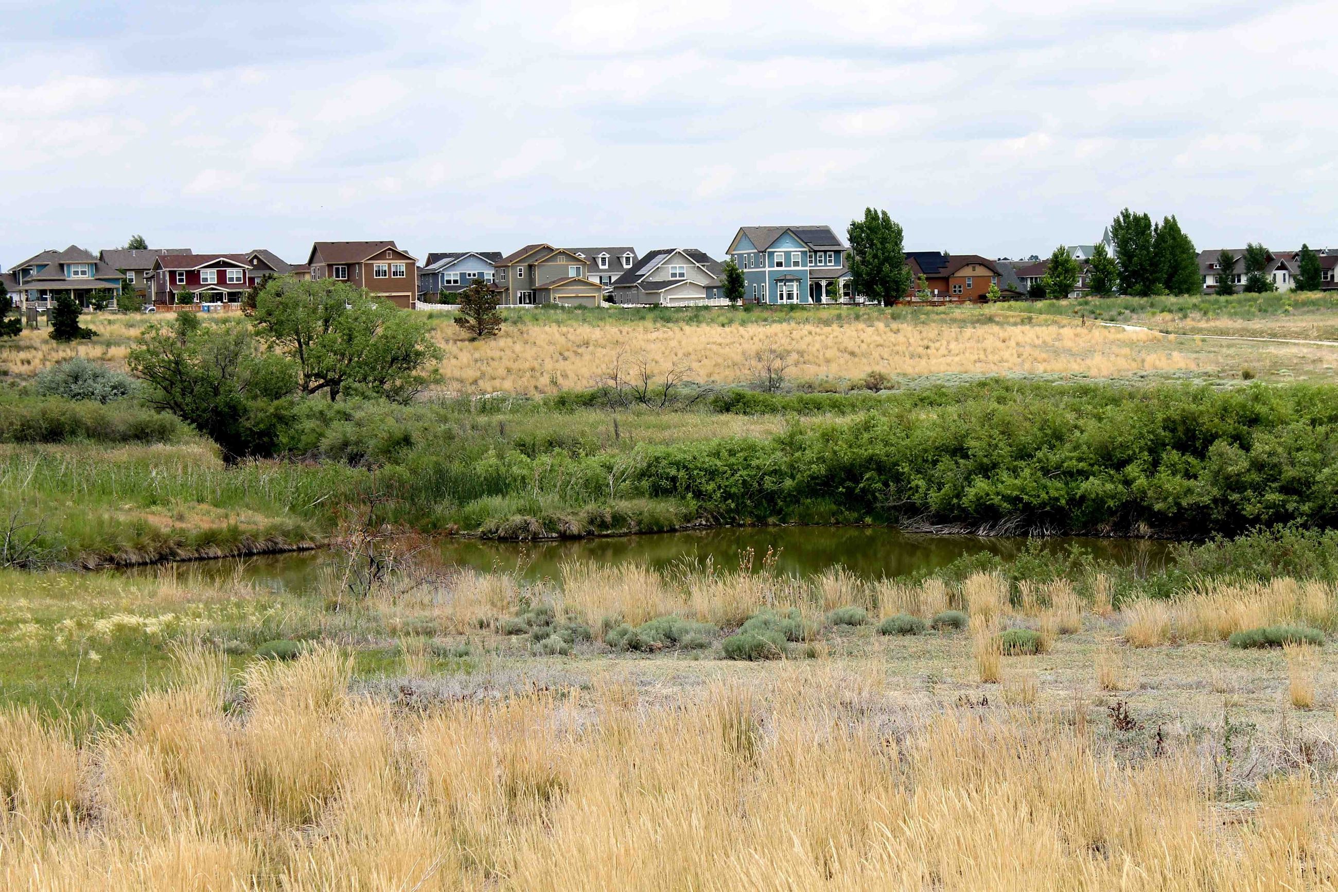 Ponds west of Stratford Lakes subdivision