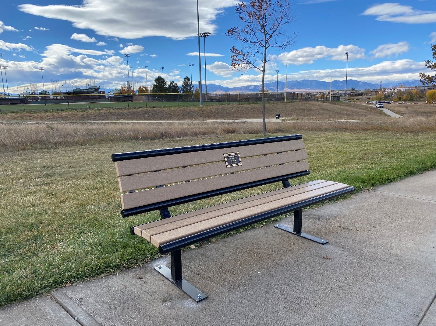 Memorial Bench