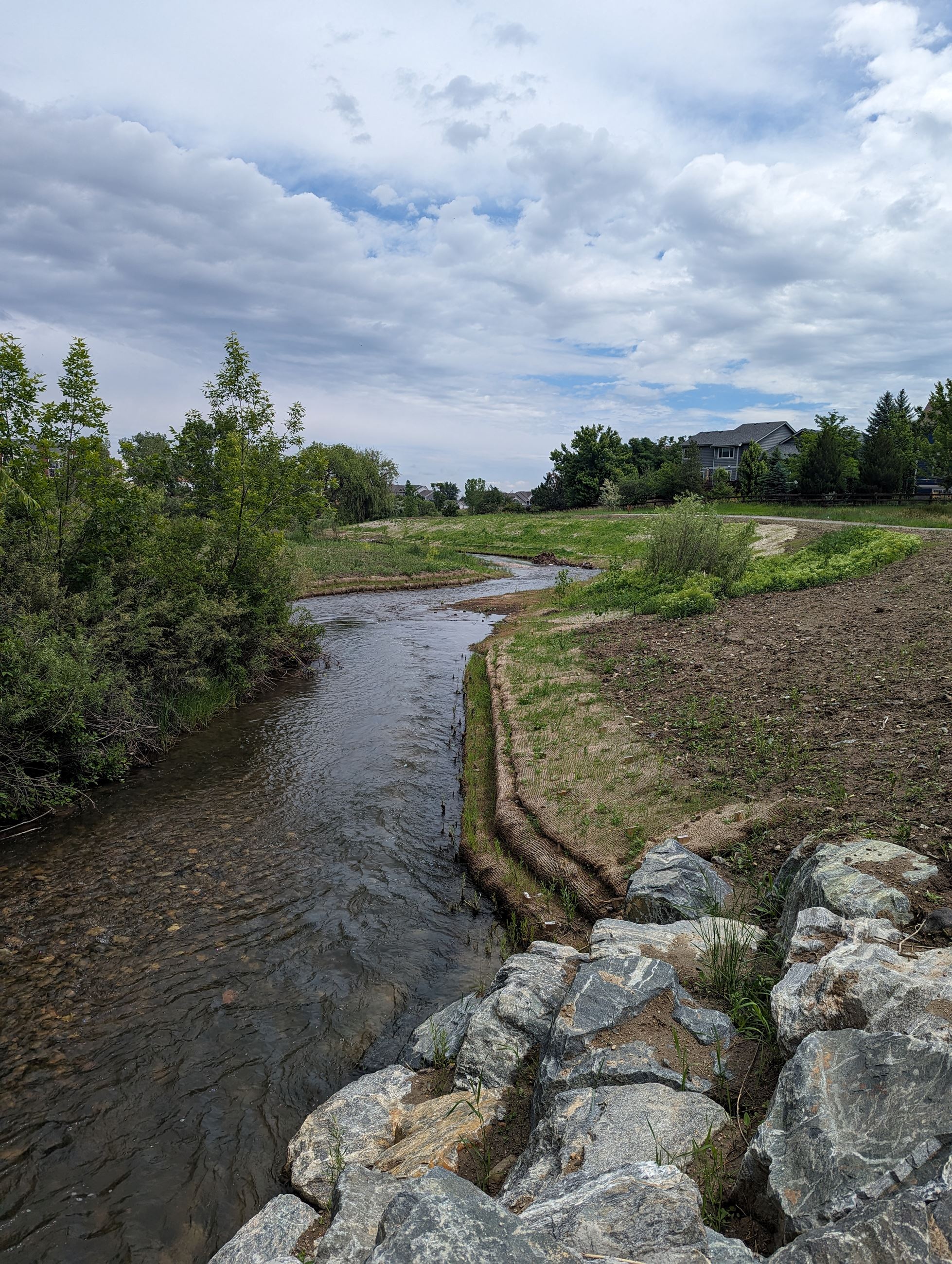 Wadsworth Boulevard to Westcliff Parkway Re-Vegetation