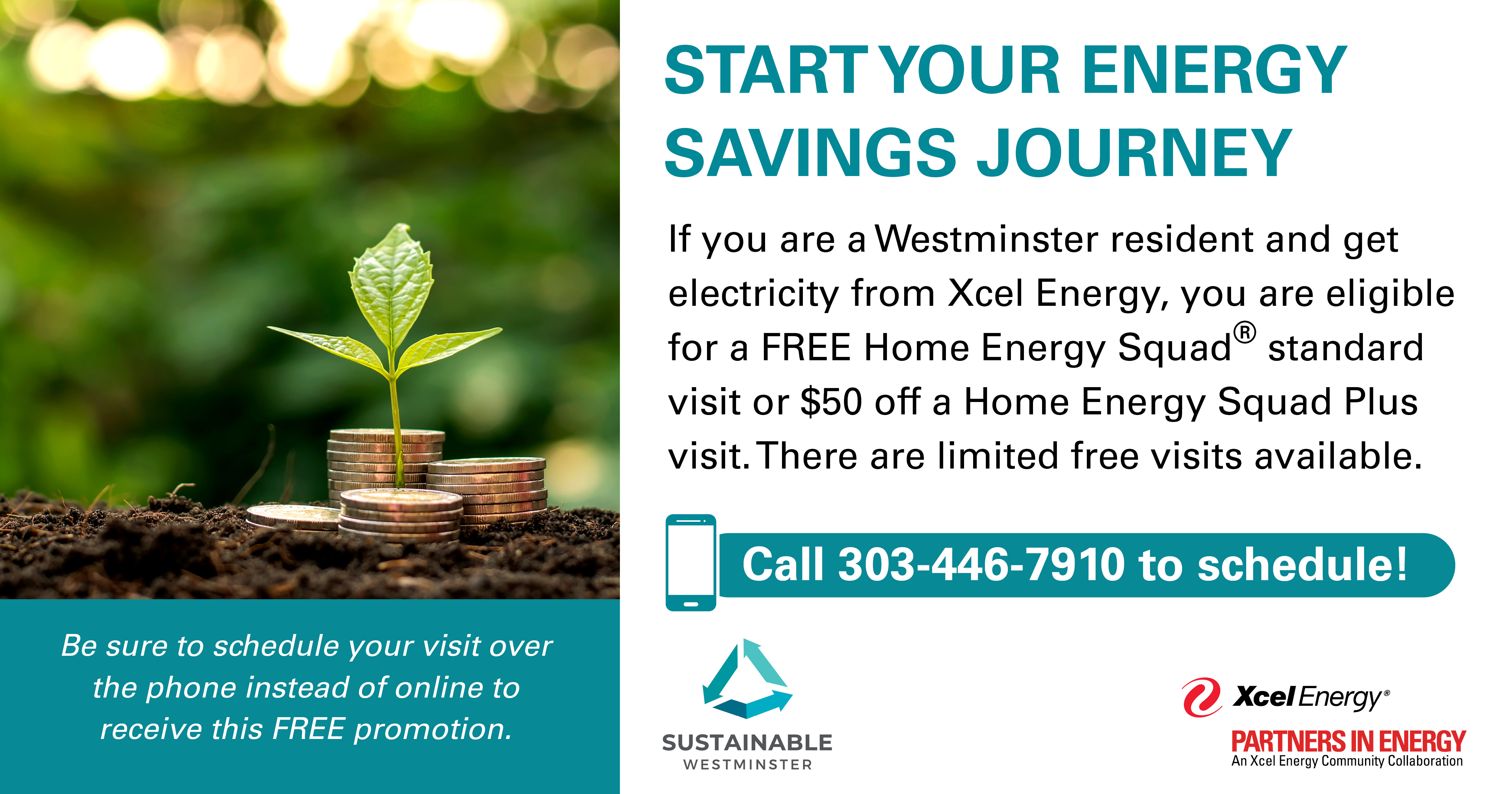 Home energy visits